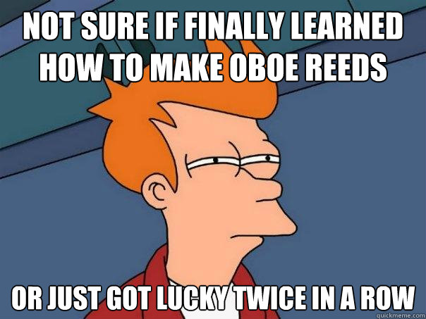 Not sure if finally learned how to make oboe reeds Or just got lucky twice in a row - Not sure if finally learned how to make oboe reeds Or just got lucky twice in a row  Futurama Fry