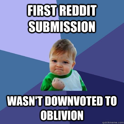 first reddit submission wasn't downvoted to oblivion  Success Kid