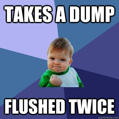 Takes a dump Flushed twice  Success Kid