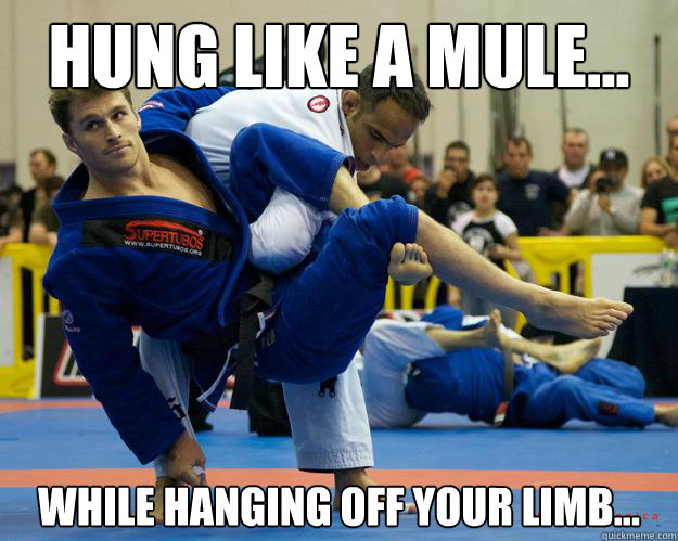 Hung like a mule... While hanging off your limb... - Hung like a mule... While hanging off your limb...  Ridiculously Photogenic Jiu Jitsu Guy