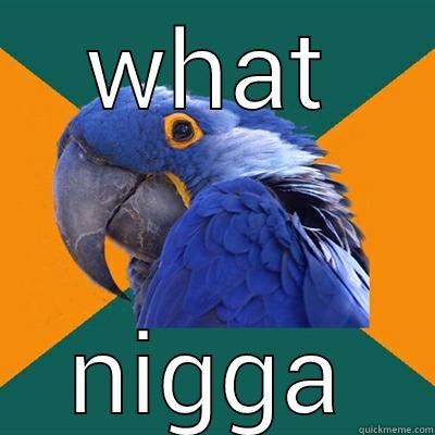 WHAT NIGGA Paranoid Parrot