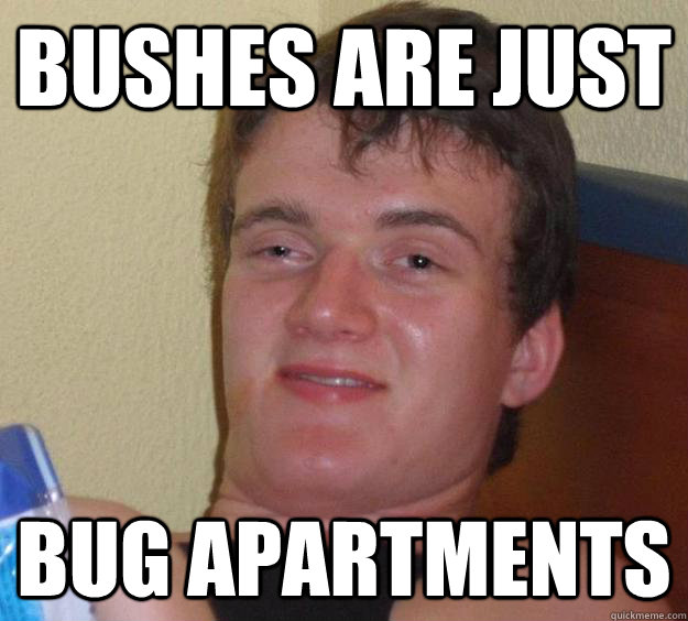 bushes are just bug apartments - bushes are just bug apartments  10 Guy