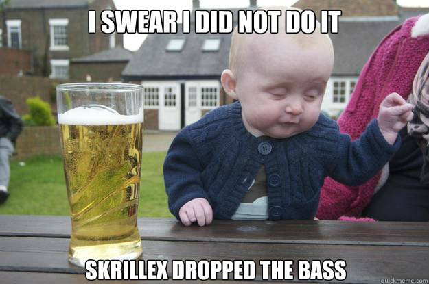 i swear i did not do it skrillex dropped the bass  - i swear i did not do it skrillex dropped the bass   drunk baby