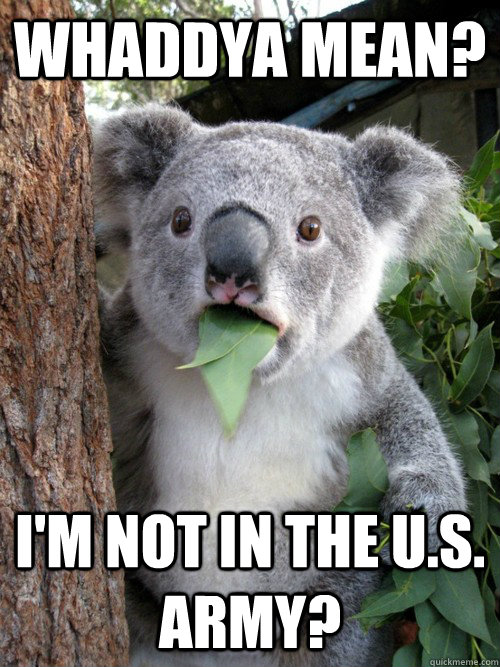 Whaddya mean?  I'm not in the u.s. army?  koala bear