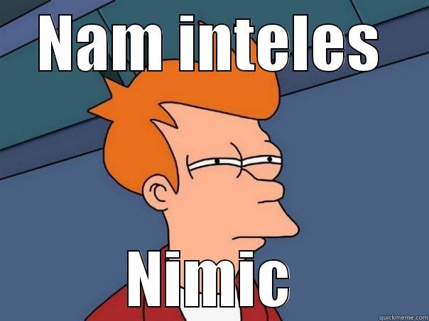 NAM INTELES NIMIC Futurama Fry