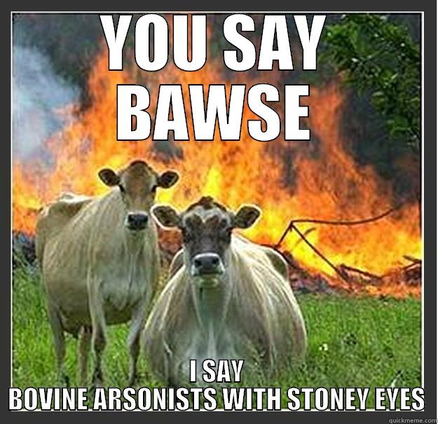 YOU SAY BAWSE I SAY BOVINE ARSONISTS WITH STONEY EYES Evil cows