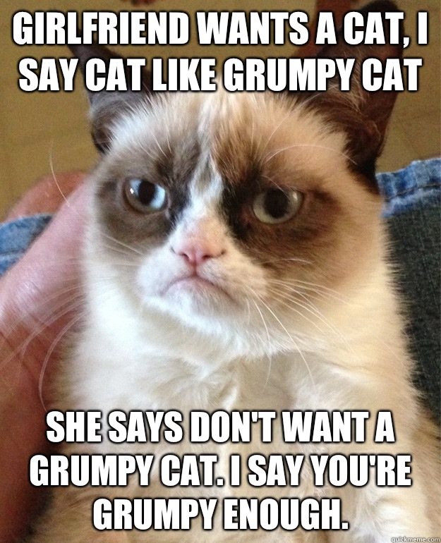 Girlfriend wants a cat, I say cat like grumpy cat She says don't want a grumpy cat. I say you're grumpy enough.   Grumpy Cat