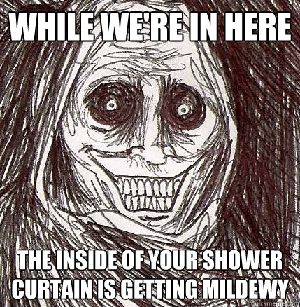 while we're in here the inside of your shower curtain is getting mildewy  Horrifying Houseguest