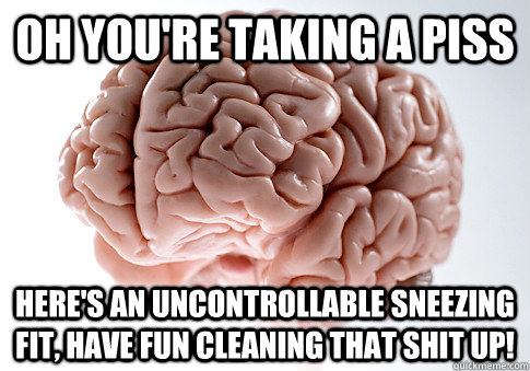 Oh you're taking a piss Here's an uncontrollable sneezing fit, have fun cleaning that shit up!  Scumbag Brain