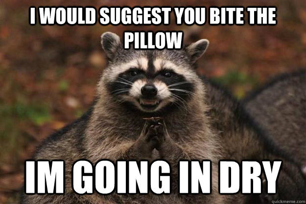 i would suggest you bite the pillow im going in dry  Evil Plotting Raccoon