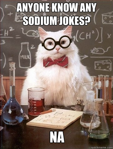 Anyone know any sodium jokes? NA  Chemistry Cat