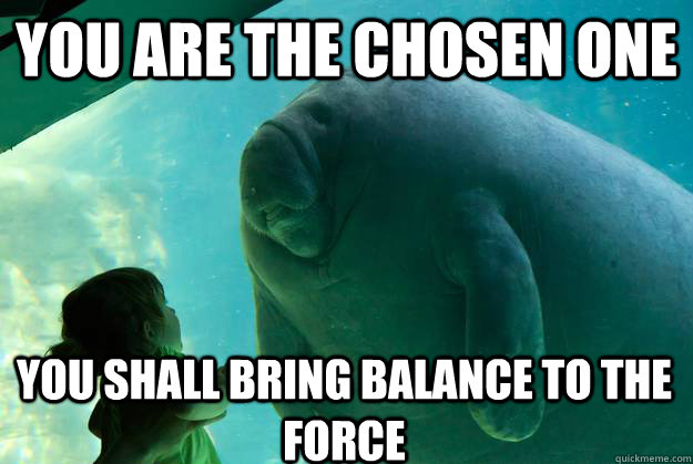 you are the chosen one you shall bring balance to the force - you are the chosen one you shall bring balance to the force  Overlord Manatee