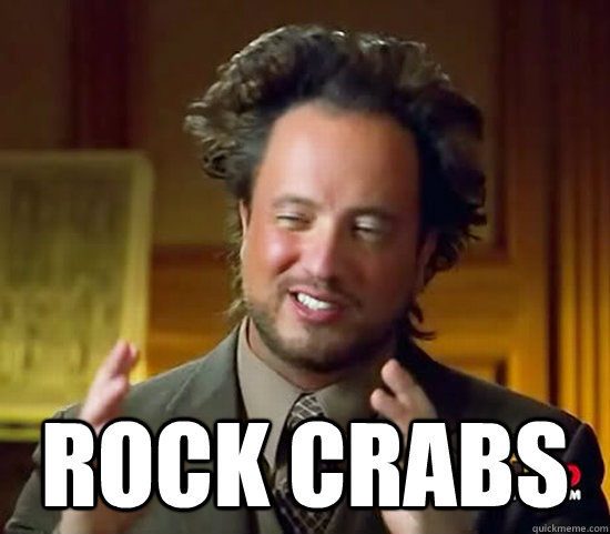 Rock crabs -  Rock crabs  Ancient Aliens