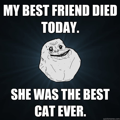 my best friend died today. she was the best cat ever. - my best friend died today. she was the best cat ever.  Forever Alone