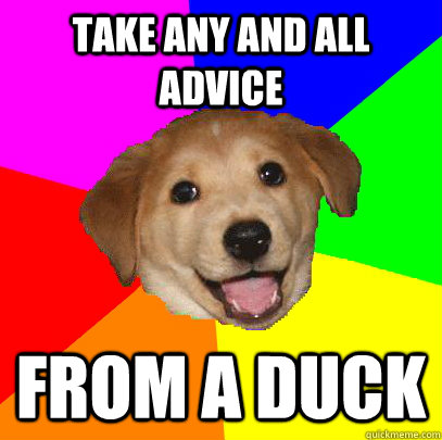 Take any and all advice from a duck  Advice Dog