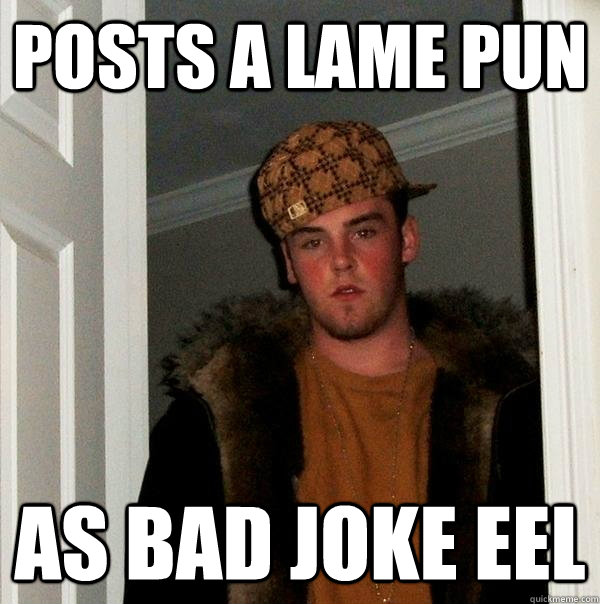 Posts a lame pun as bad joke eel  Scumbag Steve