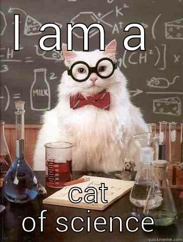 cat of science - I AM A  CAT OF SCIENCE Chemistry Cat