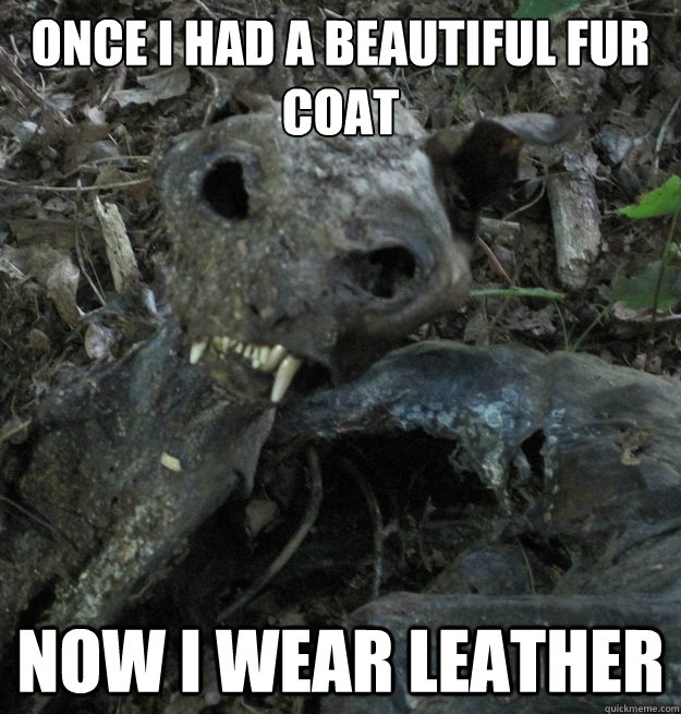 Once I had a beautiful Fur Coat Now I wear leather - Once I had a beautiful Fur Coat Now I wear leather  Misc