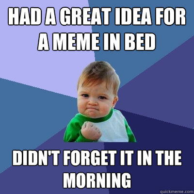 Had a great idea for a meme in bed Didn't forget it in the morning  Success Kid