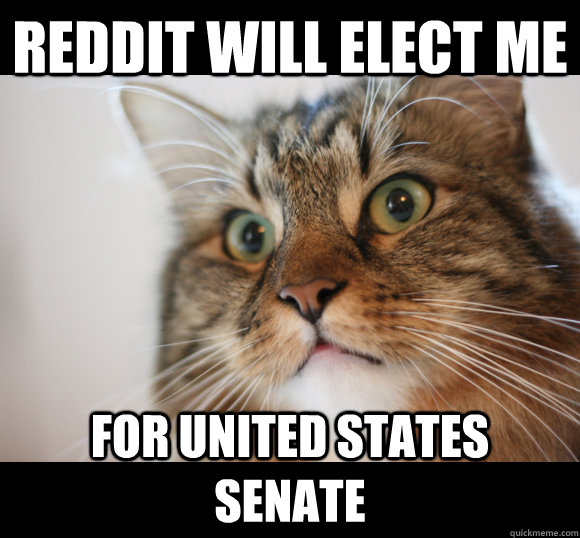 reddit will elect me for united states senate  Sudden Clarity Cat