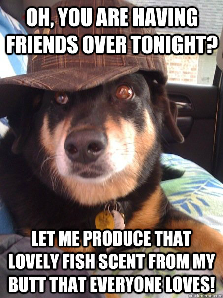 oh, you are having friends over tonight? let me produce that lovely fish scent from my butt that everyone loves!  Scumbag dog