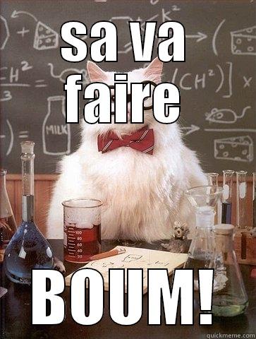 SA VA FAIRE BOUM! Chemistry Cat