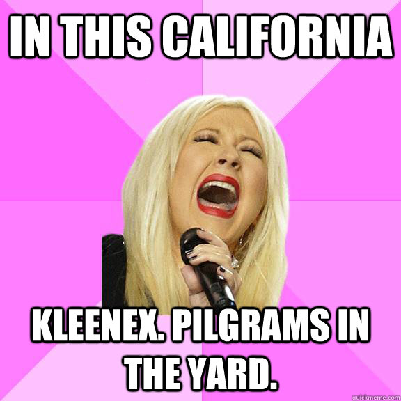 In This california Kleenex. Pilgrams in the yard.  Wrong Lyrics Christina