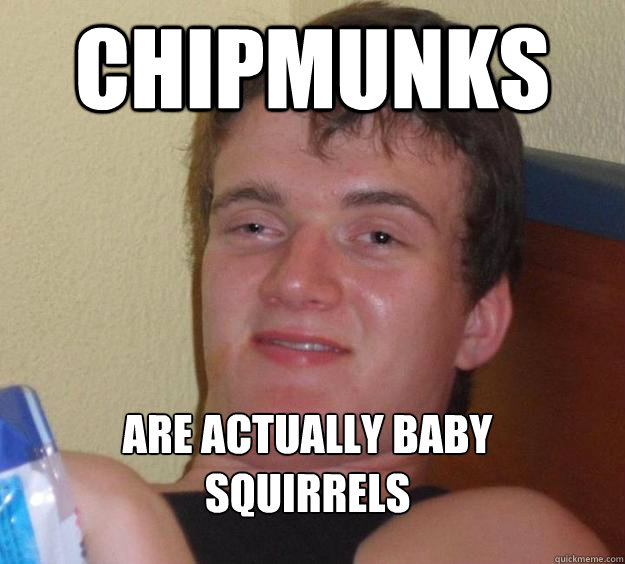 CHIPMUNKS are actually baby squirrels
  10 Guy