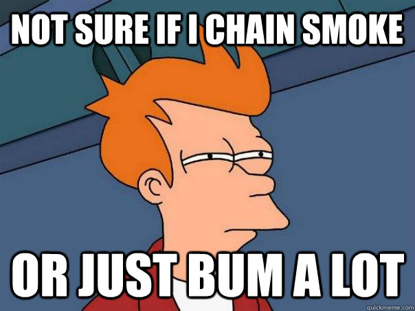 Not sure if I chain smoke Or just bum a lot  Futurama Fry