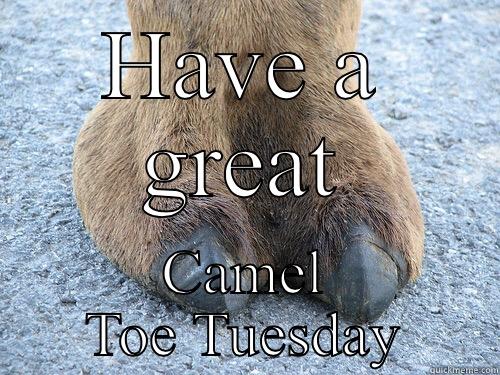 Camel toe tuesday - HAVE A GREAT CAMEL TOE TUESDAY Misc