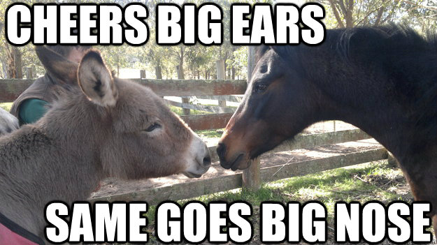 Cheers Big Ears Same Goes Big Nose - Cheers Big Ears Same Goes Big Nose  BigEarNose