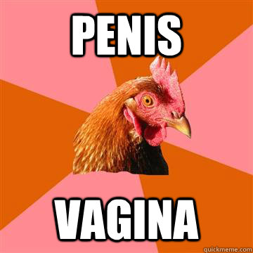 penis vagina  Anti-Joke Chicken
