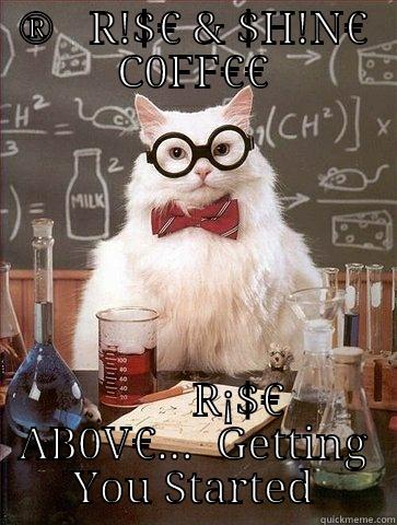 R!$€ & $H¡N€   >WITH<   R¡$€ AB0V€  - ®   R!$€ & $H!N€ C0FF€€         R¡$€ AB0V€...  GETTING YOU STARTED Chemistry Cat