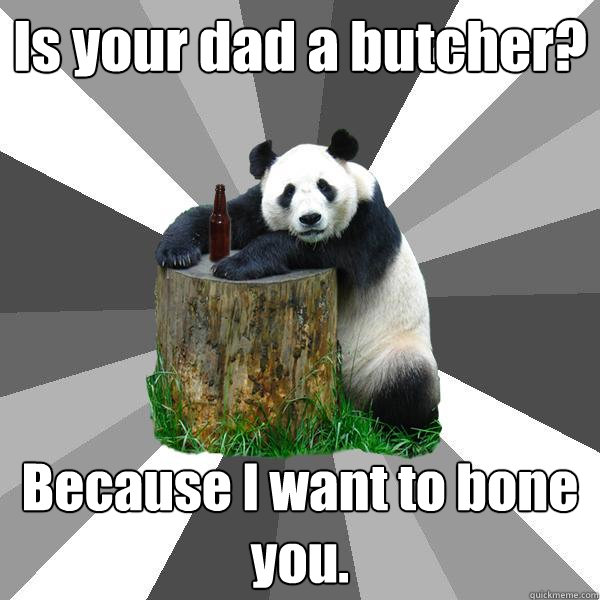 Is your dad a butcher? Because I want to bone you.   Pickup-Line Panda