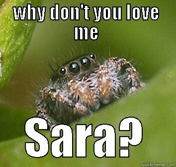 WHY DON'T YOU LOVE ME SARA? Misunderstood Spider