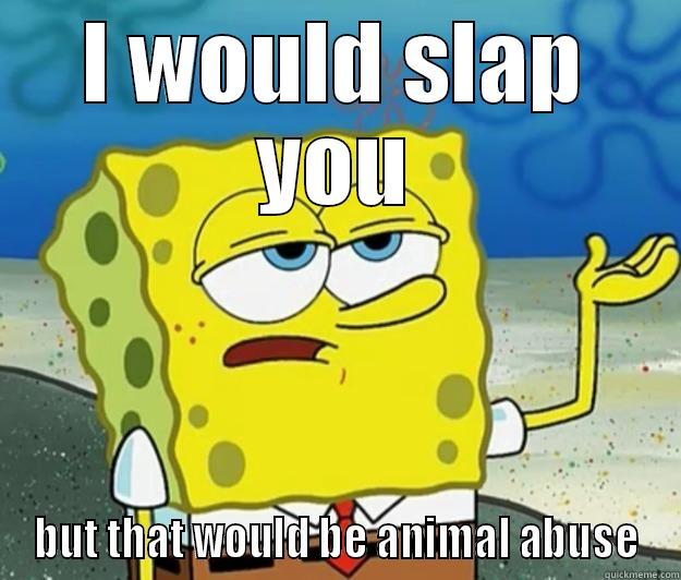 I WOULD SLAP YOU BUT THAT WOULD BE ANIMAL ABUSE Tough Spongebob