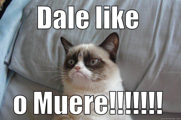 Gato Muerto - DALE LIKE O MUERE!!!!!!! Grumpy Cat