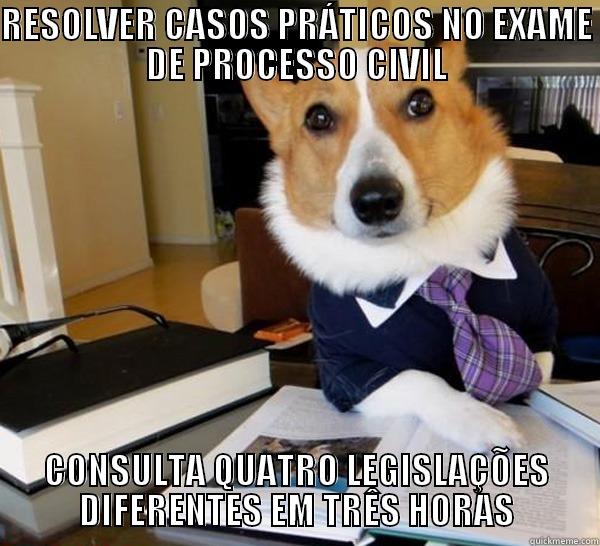 RESOLVER CASOS PRÁTICOS NO EXAME DE PROCESSO CIVIL CONSULTA QUATRO LEGISLAÇÕES DIFERENTES EM TRÊS HORAS Lawyer Dog