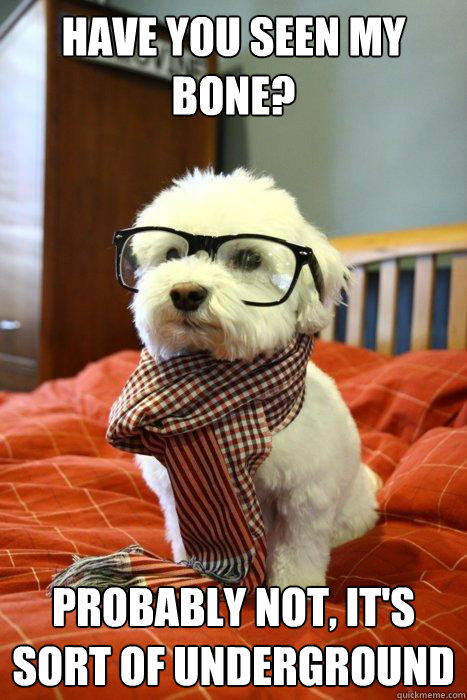 HAVE YOU SEEN MY BONE? PROBABLY NOT, IT'S SORT OF UNDERGROUND  Hipster Dog