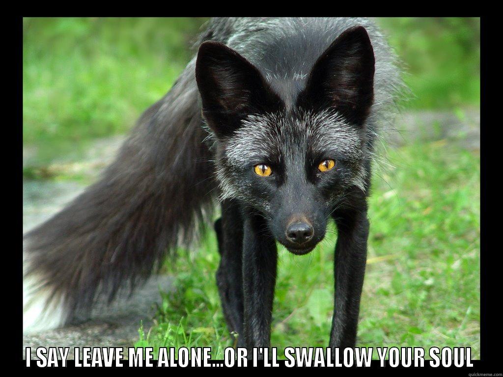  I SAY LEAVE ME ALONE...OR I'LL SWALLOW YOUR SOUL Misc