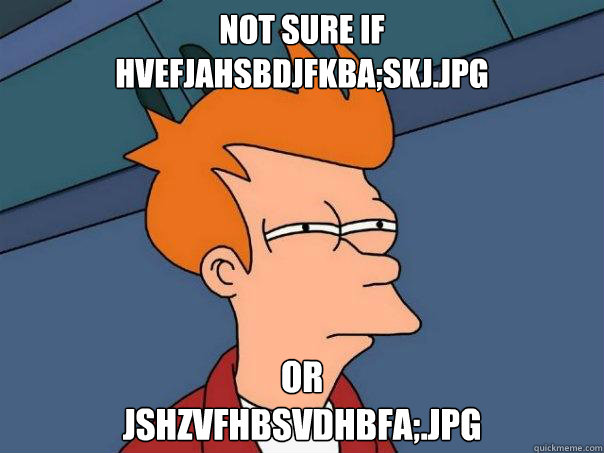 Not sure if
hvefjahsbdjfkba;skj.jpg or 
jshzvfhbsvdhbfa;.jpg  Futurama Fry