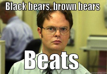 dwight good - BLACK BEARS, BROWN BEARS BEATS Schrute