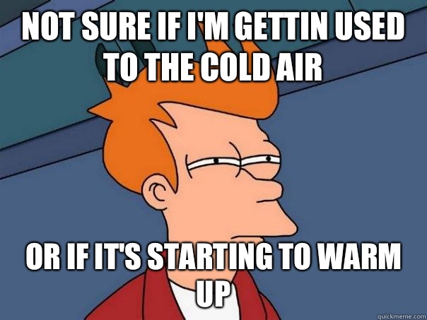 Not sure if I'm gettin used to the cold air Or if it's starting to warm up - Not sure if I'm gettin used to the cold air Or if it's starting to warm up  Futurama Fry