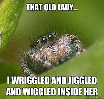 That Old Lady... I wriggled and jiggled and wiggled inside her - That Old Lady... I wriggled and jiggled and wiggled inside her  Misunderstood Spider