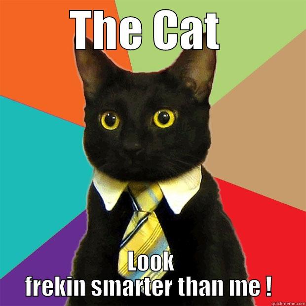 THE CAT  LOOK FREKIN SMARTER THAN ME !  Business Cat