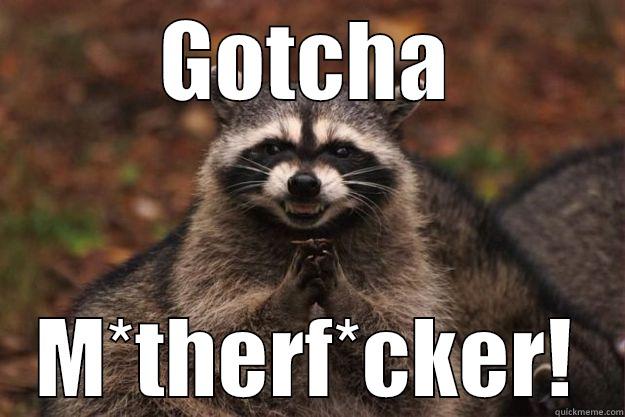 GOTCHA M*THERF*CKER! Evil Plotting Raccoon