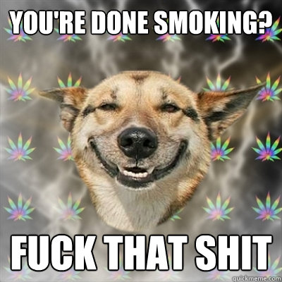 you're done smoking? fuck that shit  Stoner Dog