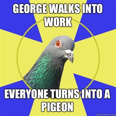 George walks into work Everyone turns into a pigeon - George walks into work Everyone turns into a pigeon  Religion Pigeon