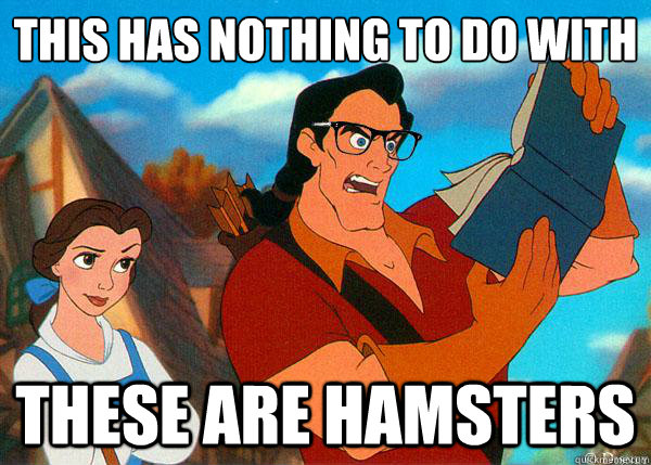 THIS HAS NOTHING TO DO WITH THANKSGIVING THESE ARE HAMSTERS  Hipster Gaston