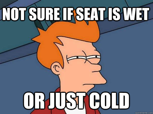 Not sure if seat is wet or just cold - Not sure if seat is wet or just cold  Futurama Fry